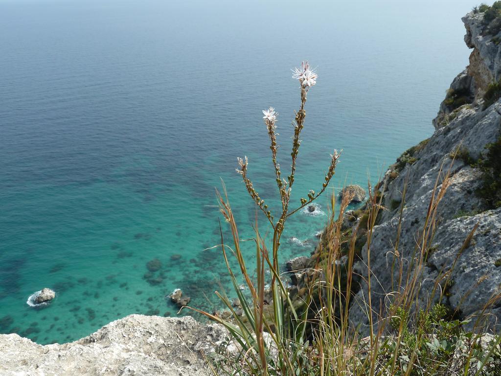 Fiori E Limoni Bed and Breakfast Quartucciu Exterior foto