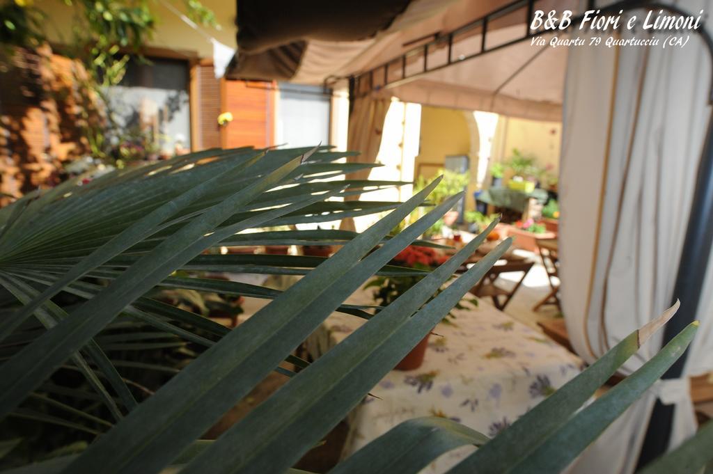 Fiori E Limoni Bed and Breakfast Quartucciu Exterior foto